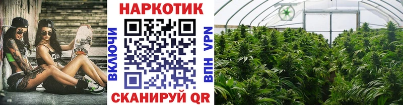 Магазины продажи наркотиков Сосновый Бор МАРИХУАНА Cocaine ГАШИШ Амфетамин МЕФ